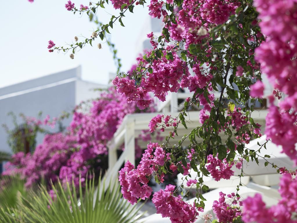 Polikandia Hotel Folégandros Exterior foto